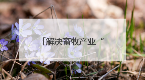 解决畜牧产业“痛点”，济南市“走进千村万企”公益活动启动