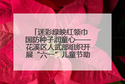 迷彩绿映红领巾 国防种子润童心——花溪区人武部组织开展“六一”儿童节助学兴教活动