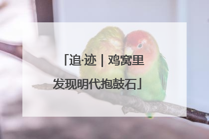 追·迹｜鸡窝里发现明代抱鼓石