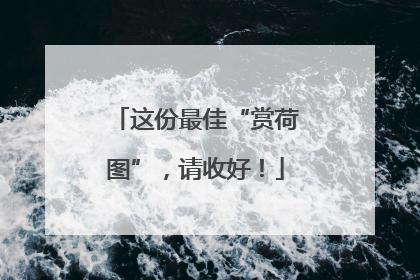 这份最佳“赏荷图”，请收好！