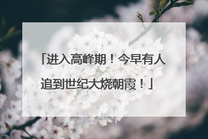 进入高峰期！今早有人追到世纪大烧朝霞！