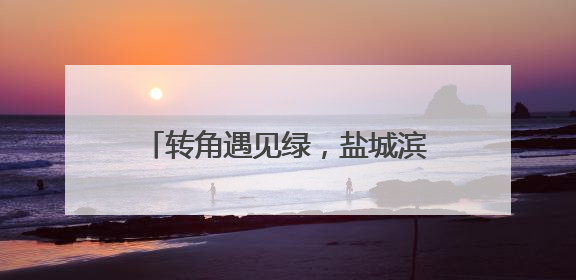 转角遇见绿，盐城滨海“口袋”盛满幸福