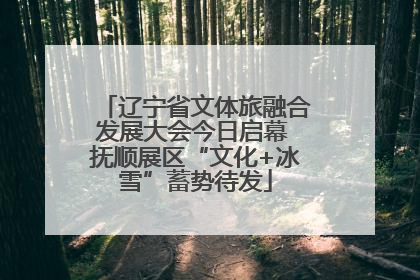 辽宁省文体旅融合发展大会今日启幕 抚顺展区“文化+冰雪”蓄势待发