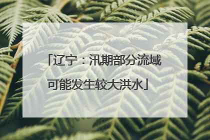 辽宁：汛期部分流域可能发生较大洪水