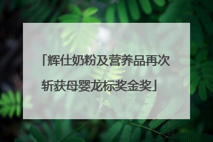 辉仕奶粉及营养品再次斩获母婴龙标奖金奖
