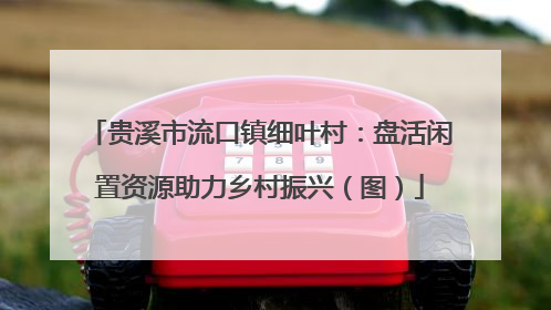贵溪市流口镇细叶村：盘活闲置资源助力乡村振兴（图）