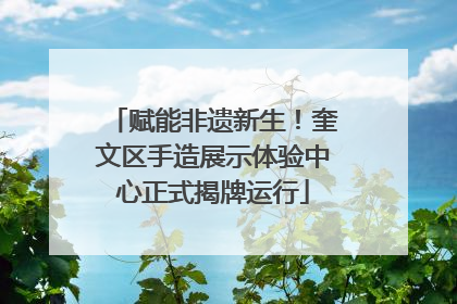赋能非遗新生！奎文区手造展示体验中心正式揭牌运行