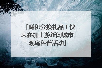 赚积分换礼品！快来参加上游新闻城市观鸟科普活动