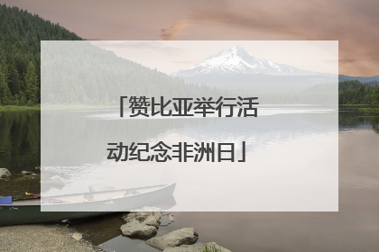 赞比亚举行活动纪念非洲日