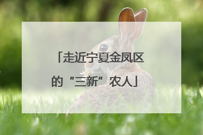 走近宁夏金凤区的“三新”农人