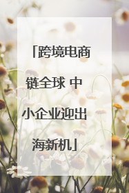 跨境电商链全球 中小企业迎出海新机