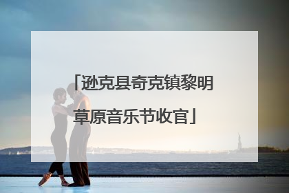 逊克县奇克镇黎明草原音乐节收官