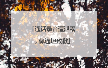 通话录音遭泄露，佩通坦致歉