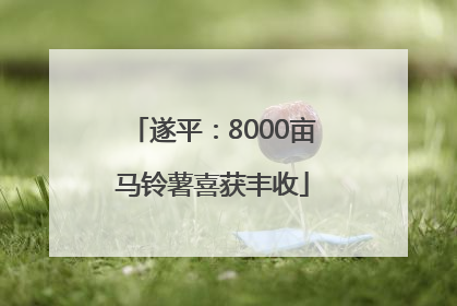 遂平：8000亩马铃薯喜获丰收