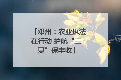 邓州：农业执法在行动 护航“三夏”保丰收