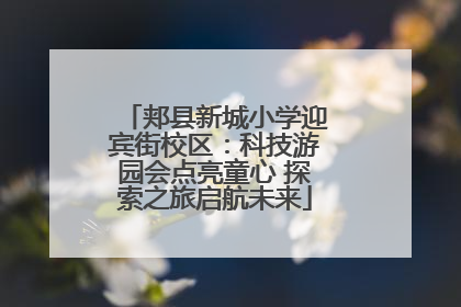 郏县新城小学迎宾街校区：科技游园会点亮童心 探索之旅启航未来