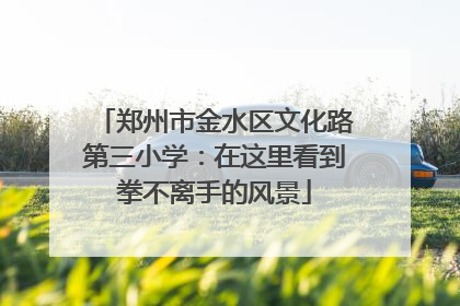 郑州市金水区文化路第三小学：在这里看到拳不离手的风景