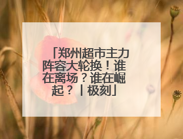 郑州超市主力阵容大轮换！谁在离场？谁在崛起？丨极刻