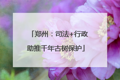 郑州：司法+行政助推千年古树保护