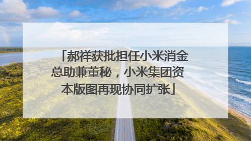 郝祥获批担任小米消金总助兼董秘，小米集团资本版图再现协同扩张