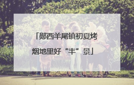 郧西羊尾镇初夏烤烟地里好“丰”景
