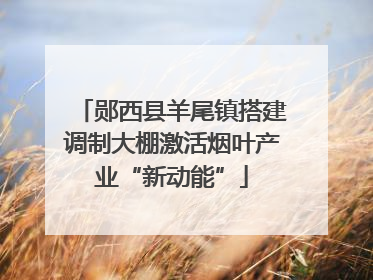 郧西县羊尾镇搭建调制大棚激活烟叶产业“新动能”