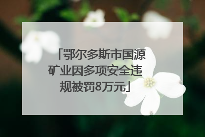鄂尔多斯市国源矿业因多项安全违规被罚8万元