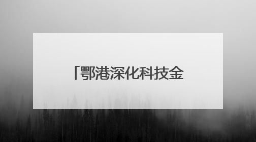鄂港深化科技金融合作 共建科创企业出海通道