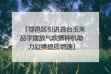 鄠邑区引进首台玉米品字摆放气吹播种机助力夏播提质增速