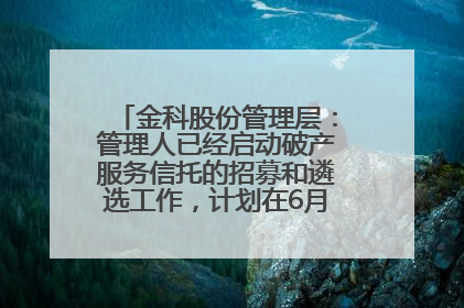 金科股份管理层：管理人已经启动破产服务信托的招募和遴选工作，计划在6月初召开评审会