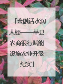 金融活水润大棚——莘县农商银行赋能设施农业升级纪实