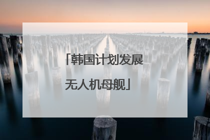 韩国计划发展无人机母舰