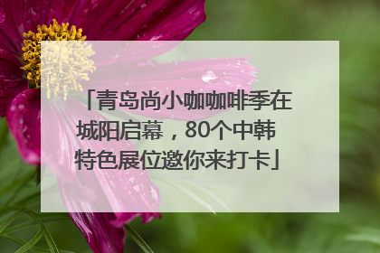 青岛尚小咖咖啡季在城阳启幕，80个中韩特色展位邀你来打卡