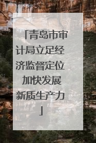 青岛市审计局立足经济监督定位 加快发展新质生产力
