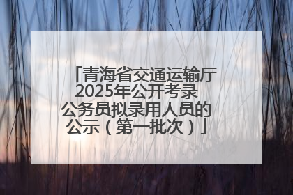 青海省交通运输厅2025年公开考录公务员拟录用人员的公示（第一批次）