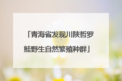 青海省发现川陕哲罗鲑野生自然繁殖种群