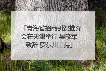 青海省招商引资推介会在天津举行 吴晓军致辞 罗东川主持