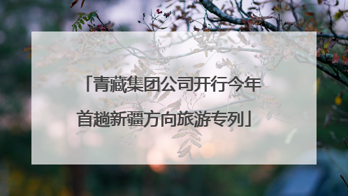 青藏集团公司开行今年首趟新疆方向旅游专列