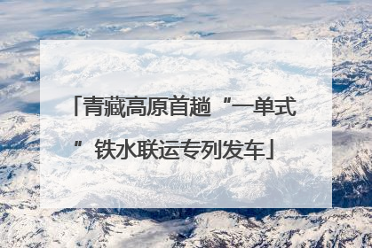 青藏高原首趟“一单式”铁水联运专列发车
