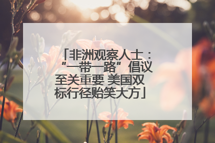 非洲观察人士：“一带一路”倡议至关重要 美国双标行径贻笑大方