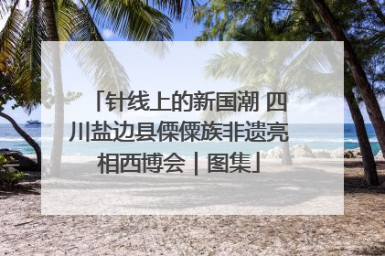 针线上的新国潮 四川盐边县傈僳族非遗亮相西博会｜图集