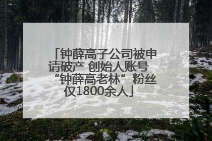 钟薛高子公司被申请破产 创始人账号“钟薛高老林”粉丝仅1800余人