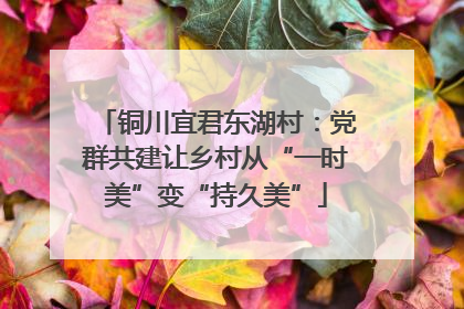 铜川宜君东湖村：党群共建让乡村从“一时美”变“持久美”