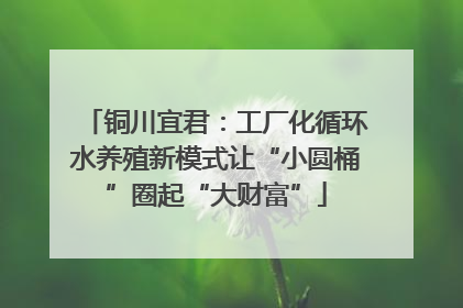 铜川宜君：工厂化循环水养殖新模式让“小圆桶”圈起“大财富”