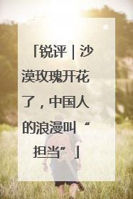 锐评｜沙漠玫瑰开花了，中国人的浪漫叫“担当”