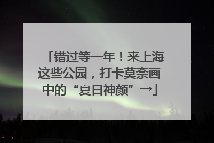 错过等一年！来上海这些公园，打卡莫奈画中的“夏日神颜”→