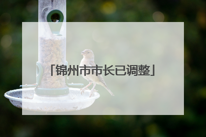 锦州市市长已调整