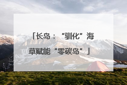 长岛：“驯化”海草赋能“零碳岛”