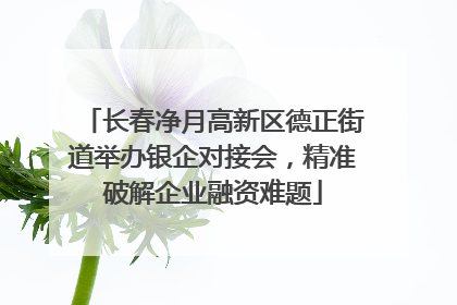 长春净月高新区德正街道举办银企对接会，精准破解企业融资难题