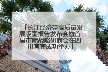 长江经济带高质量发展版图报告发布会暨首届市际战略研商会在四川宜宾成功举办